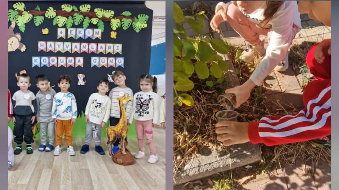 Hayvanları Koruma Günü